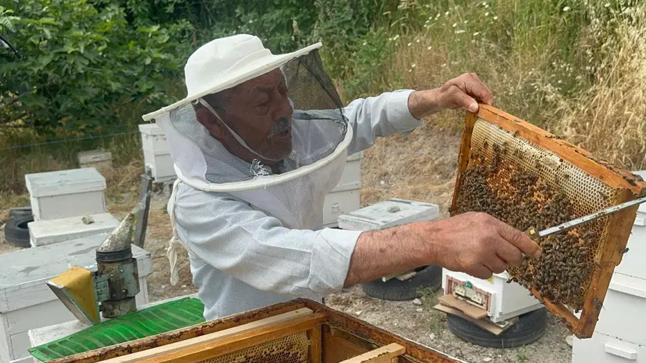 Hobi olarak başladı. Emekli başgardiyan ürettiği balı 20 yıldır Avrupa'ya gönderiyor