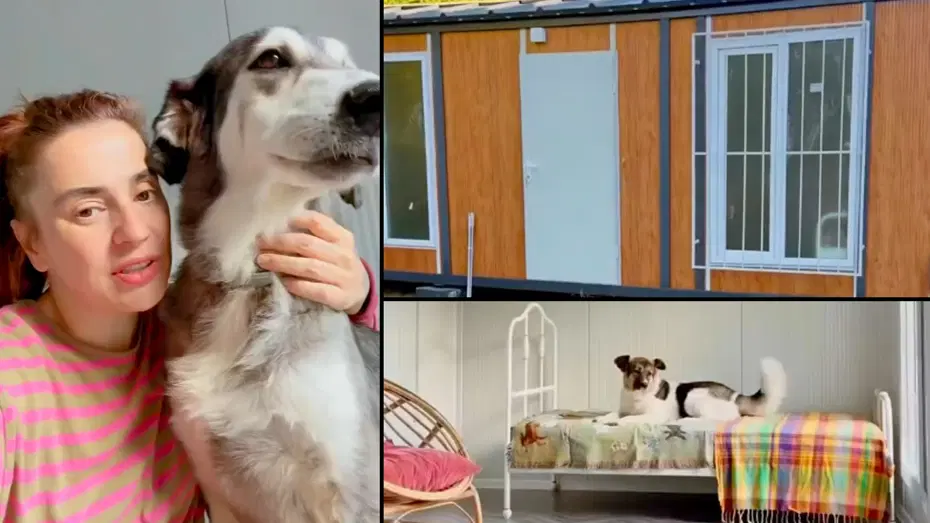 Ceylan Ertem'den köpeklerine özel ev. Tüm ayrıntılarla kendisi ilgilendi