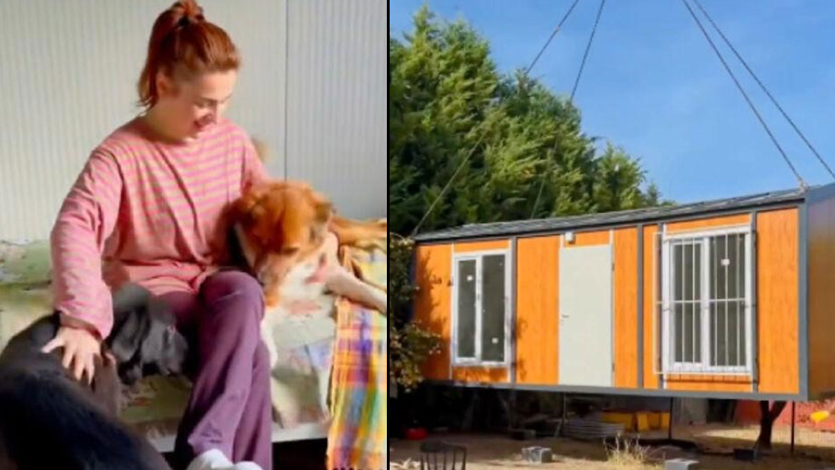Ceylan Ertem köpekleri için konteyner ev yaptırdı: “Kendime alamadım ama onlara aldım”