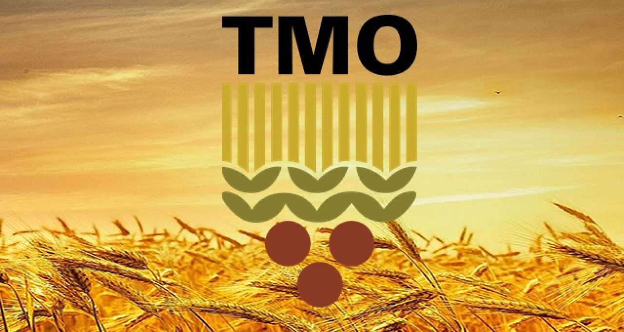TMO çeltik alım fiyatlarını açıkladı: Baldo 45 bin, Osmancık 38 bin TL