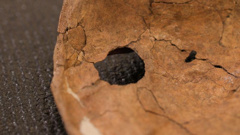 Neandertallerin yaşamında şiddet ne kadar yaygındı?