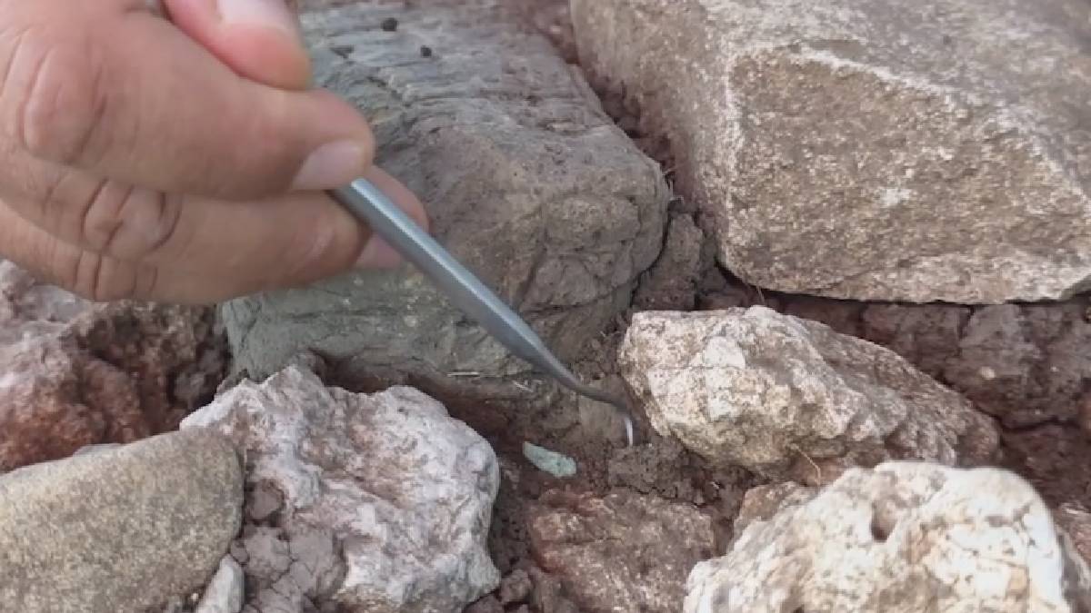 Çayönü Tepesi kazılarında 8 bin yıllık madencilik işliği bulundu