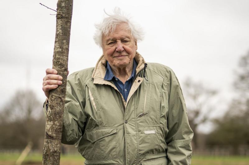 David Attenborough: Ünlü İngiliz yayıncı 100. yaşını kutluyor