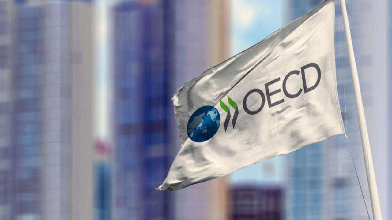 OECD Türkiye için büyüme tahminini düşürdü, enflasyon beklentisini yükseltti